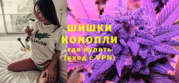 индика Бугульма