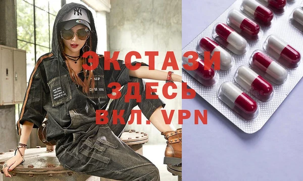 индика Бугульма