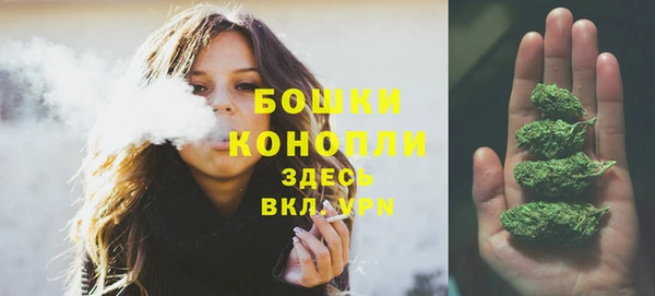 индика Бугульма