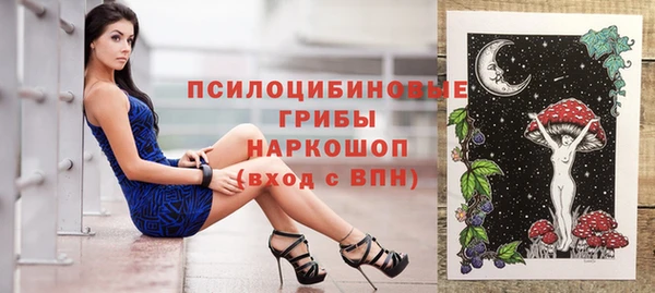 индика Бугульма
