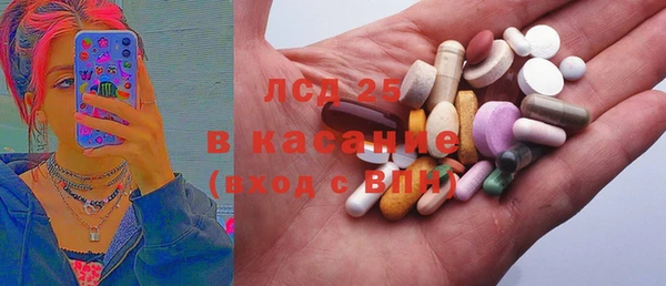 индика Бугульма