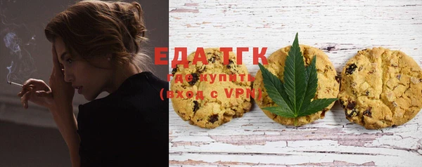 индика Бугульма