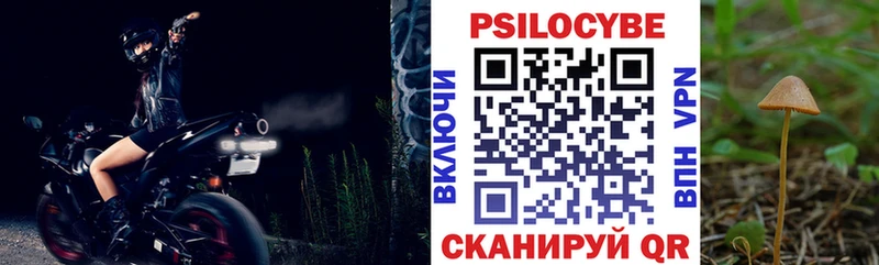 купить закладку  Кинешма  Псилоцибиновые грибы MAGIC MUSHROOMS 